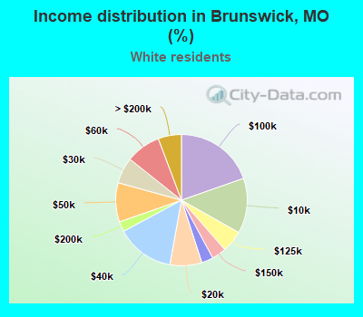 Income distribution in Brunswick, MO (%)