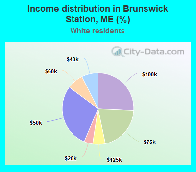 Income distribution in Brunswick Station, ME (%)