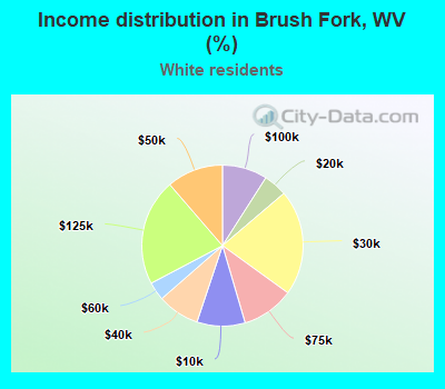 Income distribution in Brush Fork, WV (%)