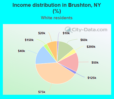 Income distribution in Brushton, NY (%)