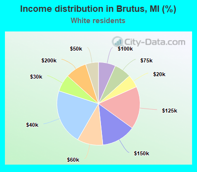 Income distribution in Brutus, MI (%)