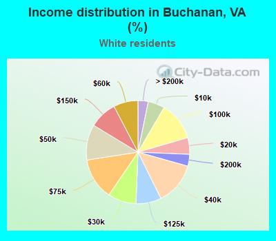 Income distribution in Buchanan, VA (%)