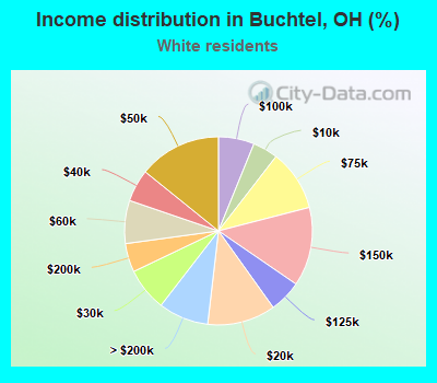 Income distribution in Buchtel, OH (%)