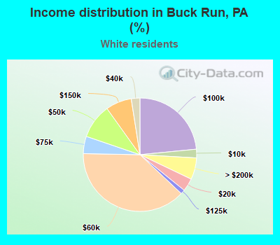 Income distribution in Buck Run, PA (%)