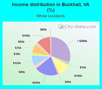 Income distribution in Buckhall, VA (%)