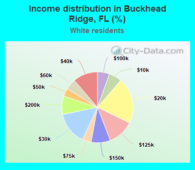 Income distribution in Buckhead Ridge, FL (%)