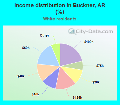 Income distribution in Buckner, AR (%)