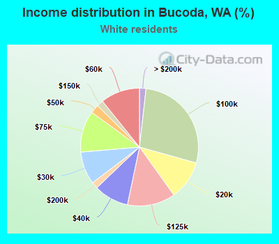 Income distribution in Bucoda, WA (%)