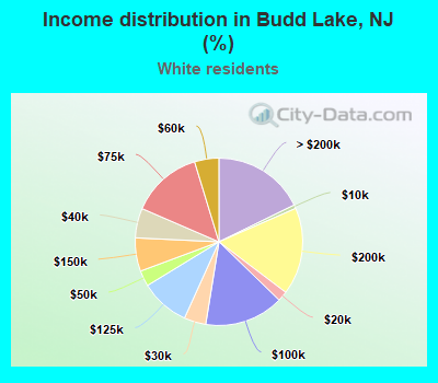 Income distribution in Budd Lake, NJ (%)