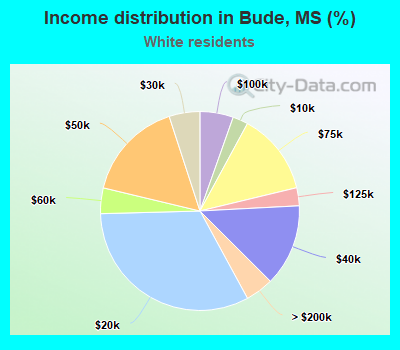 Income distribution in Bude, MS (%)