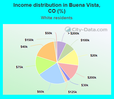 Income distribution in Buena Vista, CO (%)