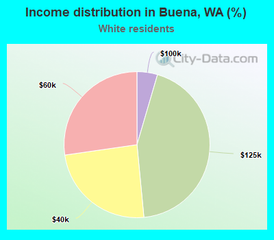 Income distribution in Buena, WA (%)