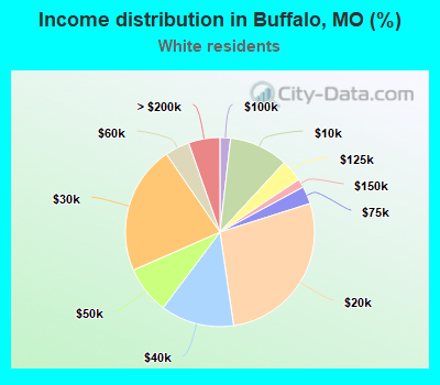 Income distribution in Buffalo, MO (%)