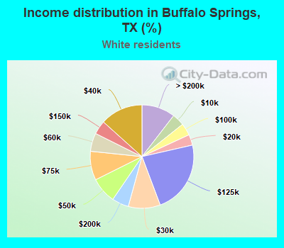 Income distribution in Buffalo Springs, TX (%)
