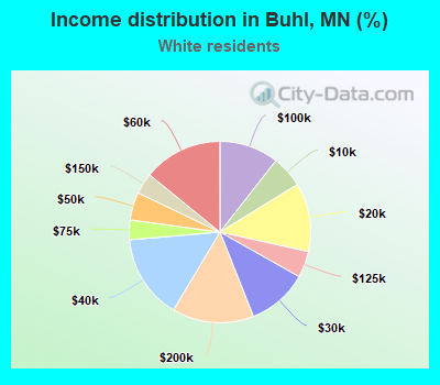Income distribution in Buhl, MN (%)