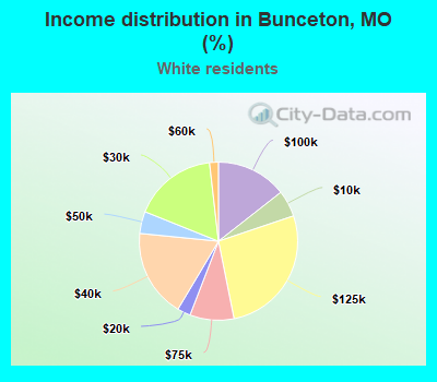 Income distribution in Bunceton, MO (%)