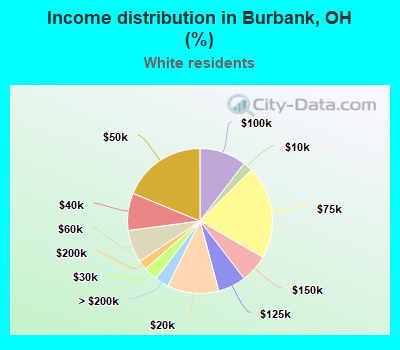 Income distribution in Burbank, OH (%)