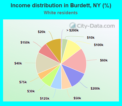 Income distribution in Burdett, NY (%)