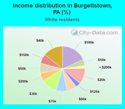 Income distribution in Burgettstown, PA (%)
