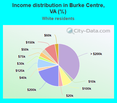 Income distribution in Burke Centre, VA (%)