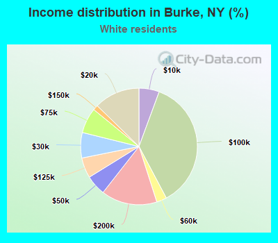 Income distribution in Burke, NY (%)