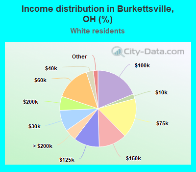 Income distribution in Burkettsville, OH (%)