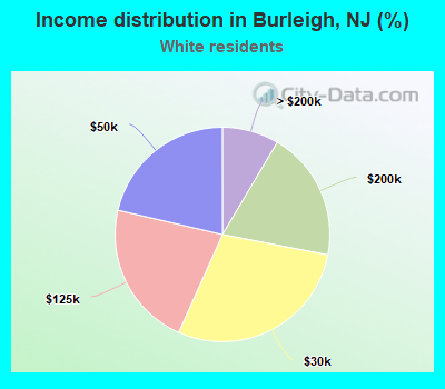Income distribution in Burleigh, NJ (%)
