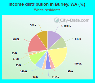 Income distribution in Burley, WA (%)