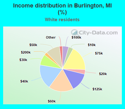 Income distribution in Burlington, MI (%)