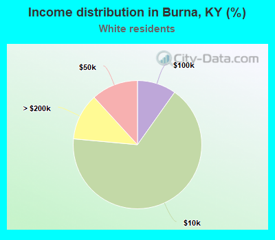 Income distribution in Burna, KY (%)