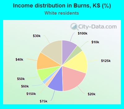 Income distribution in Burns, KS (%)