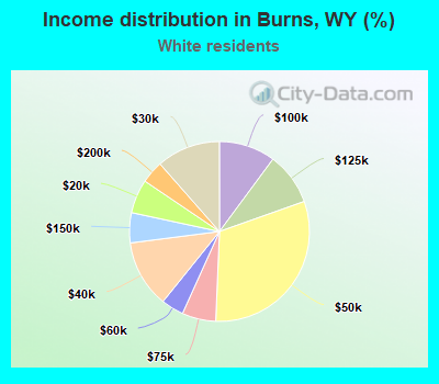 Income distribution in Burns, WY (%)