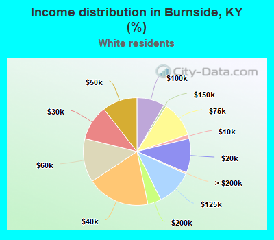Income distribution in Burnside, KY (%)