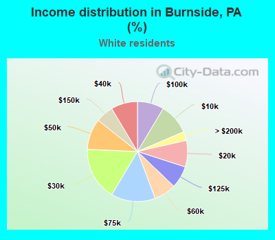 Income distribution in Burnside, PA (%)