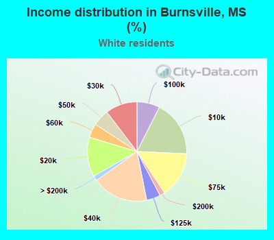 Income distribution in Burnsville, MS (%)
