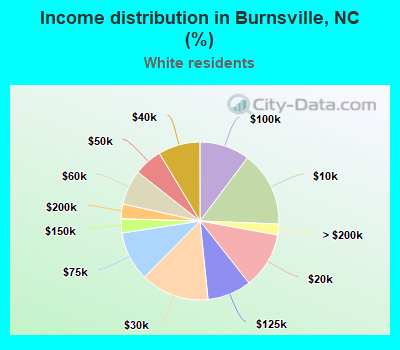 Income distribution in Burnsville, NC (%)