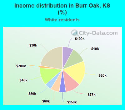 Income distribution in Burr Oak, KS (%)