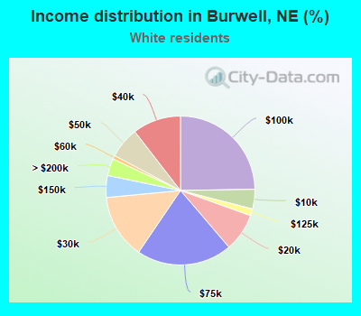 Income distribution in Burwell, NE (%)