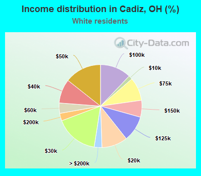 Income distribution in Cadiz, OH (%)