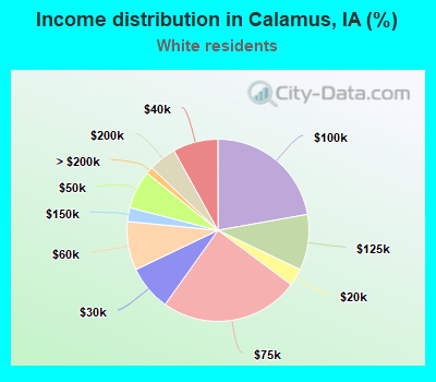 Income distribution in Calamus, IA (%)