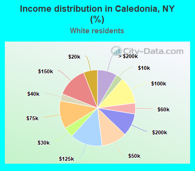 Income distribution in Caledonia, NY (%)