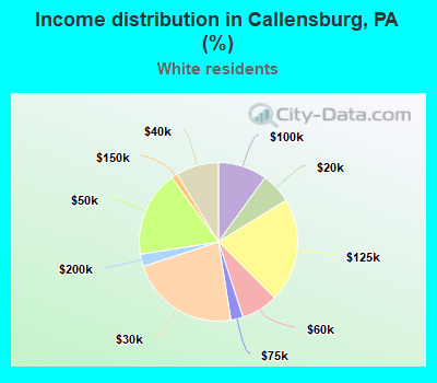 Income distribution in Callensburg, PA (%)
