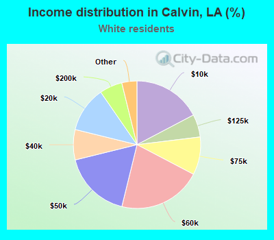 Income distribution in Calvin, LA (%)