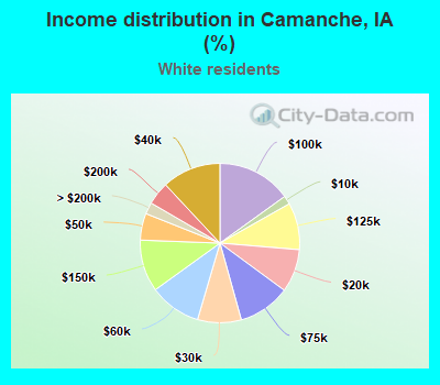 Income distribution in Camanche, IA (%)