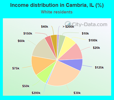 Income distribution in Cambria, IL (%)