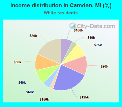 Income distribution in Camden, MI (%)