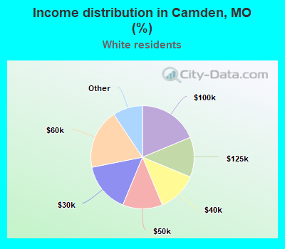 Income distribution in Camden, MO (%)