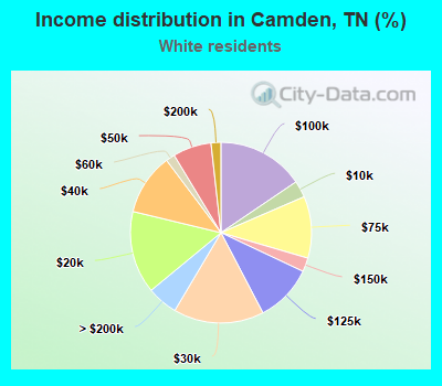 Income distribution in Camden, TN (%)