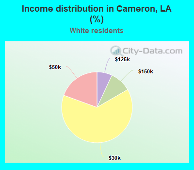 Income distribution in Cameron, LA (%)