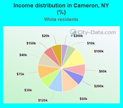 Income distribution in Cameron, NY (%)